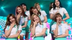 TWICE - SIGNAL