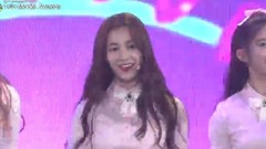 MOMO LAND - 2017 Asia Model Awards 祝贺公演