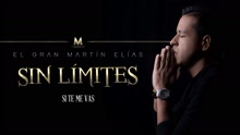 Si Te Me Vas (Cover Audio)