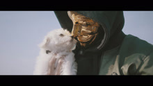 Skinz - Vi Op