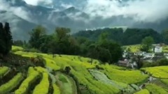 风景 - 婺源