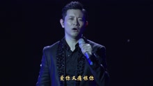 罗中旭 - 如果你不再爱了 演唱会Live版