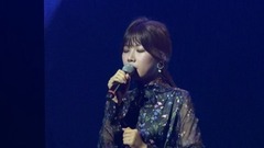 韩国群星 - Like A Wind