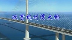 华语群星 - 欣赏杭州湾大桥