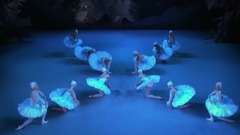 舞蹈视频 - “世界上最优秀的芭蕾舞剧之一”《胡桃夹子》精剪片段