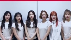 Apink - Loen Friends Junior 1期招募
