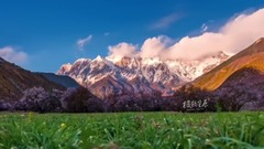 迷失在西藏 Lost In Tibet