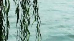 音乐短片 - 梦里水乡