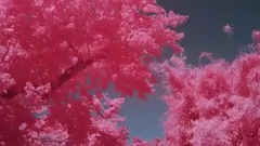Zedd,Liam Payne - Get Low (Infrared)