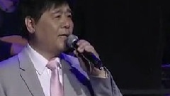 但愿人长久