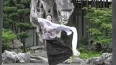 华语群星,音乐短片 - 西洲曲