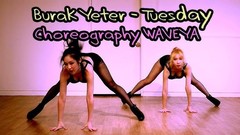 模仿翻唱,舞蹈视频 - Tuesday