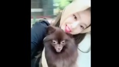 BLACKPINK - JENNIE的宠物狗