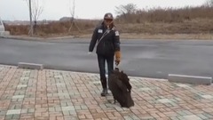 音乐短片 - Young Korean With His Loved Vulture