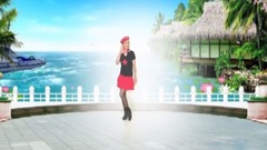 舞蹈视频 - 广场舞-泉水叮咚响