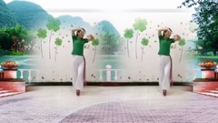 舞蹈视频 - 广场舞-秋水伊人