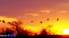 音乐短片 - 渔光曲