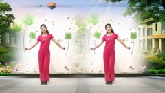 舞蹈视频 - 广场舞-真的不容易