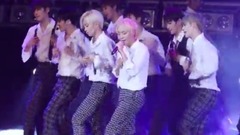 Seventeen - Mansae