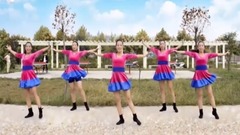 舞蹈视频 - 最美的人