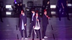 Super Junior,少女时代,BoA,SHINee,NCT 127 - SMTOWN家族演唱会饭拍合集