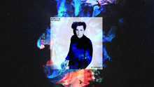 Sam Shrieve - Stardust 试听版
