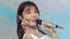 Apink - Five & 一位安可
