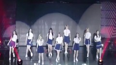 舞蹈视频,TWICE - Signal