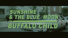Sunshine - Sunshine & the Blue Moon - Buffalo Child
