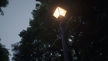 Dutch Uncles - Dutch Uncles - Streetlight