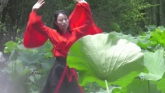 华语群星,音乐短片 - 爱莲说