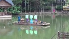 音乐短片 - 放飞孔雀