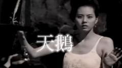 朴志胤 - 天鹅