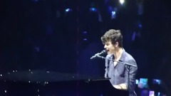 Shawn Mendes - Life of The Party