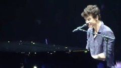 Shawn Mendes - SheLife of The Party
