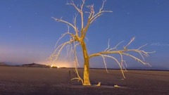 音乐短片 - Trip Again