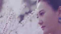 华语群星 - 我的眼里流着你的泪