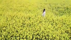 音乐短片 - 花儿妹妹