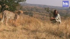 音乐短片 - DOCS Cheetah Man