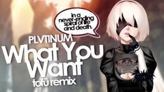 欧美群星 - What You Want (tofû remix)