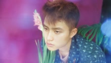 EXO - EXO - THE WAR D.O.版预告