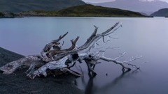 音乐短片 - 岁月静好