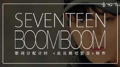 Seventeen - BoomBoom 歌词分配计时 饭制版