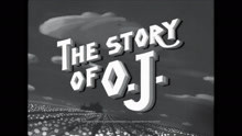 Jay-Z - The Story Of O.J.