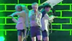 韩国群星 - Cactus