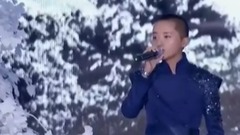 群星,华语群星,亚洲群星,金志文 - 等我回家