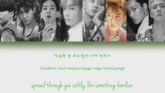 EXO - Ko Ko Bop 歌词分配 饭制版