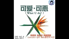EXO - EXO 四辑 kokobop 九首收录曲精彩片段剪辑【中韩双声道】