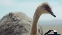 音乐短片 - 我想飞