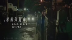 刘涛 - 等着你回来